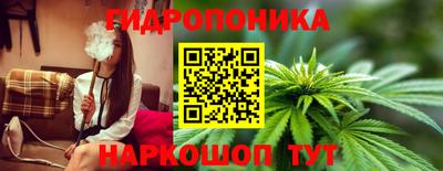 дурь Заводоуковск