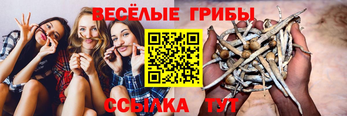 Галлюциногенные грибы MAGIC MUSHROOMS  Галлюциногенные грибы Cubensis  дарнет шоп  Мелеуз  Вход с VPN 